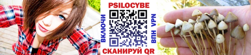 Псилоцибиновые грибы Cubensis  Вятские Поляны 